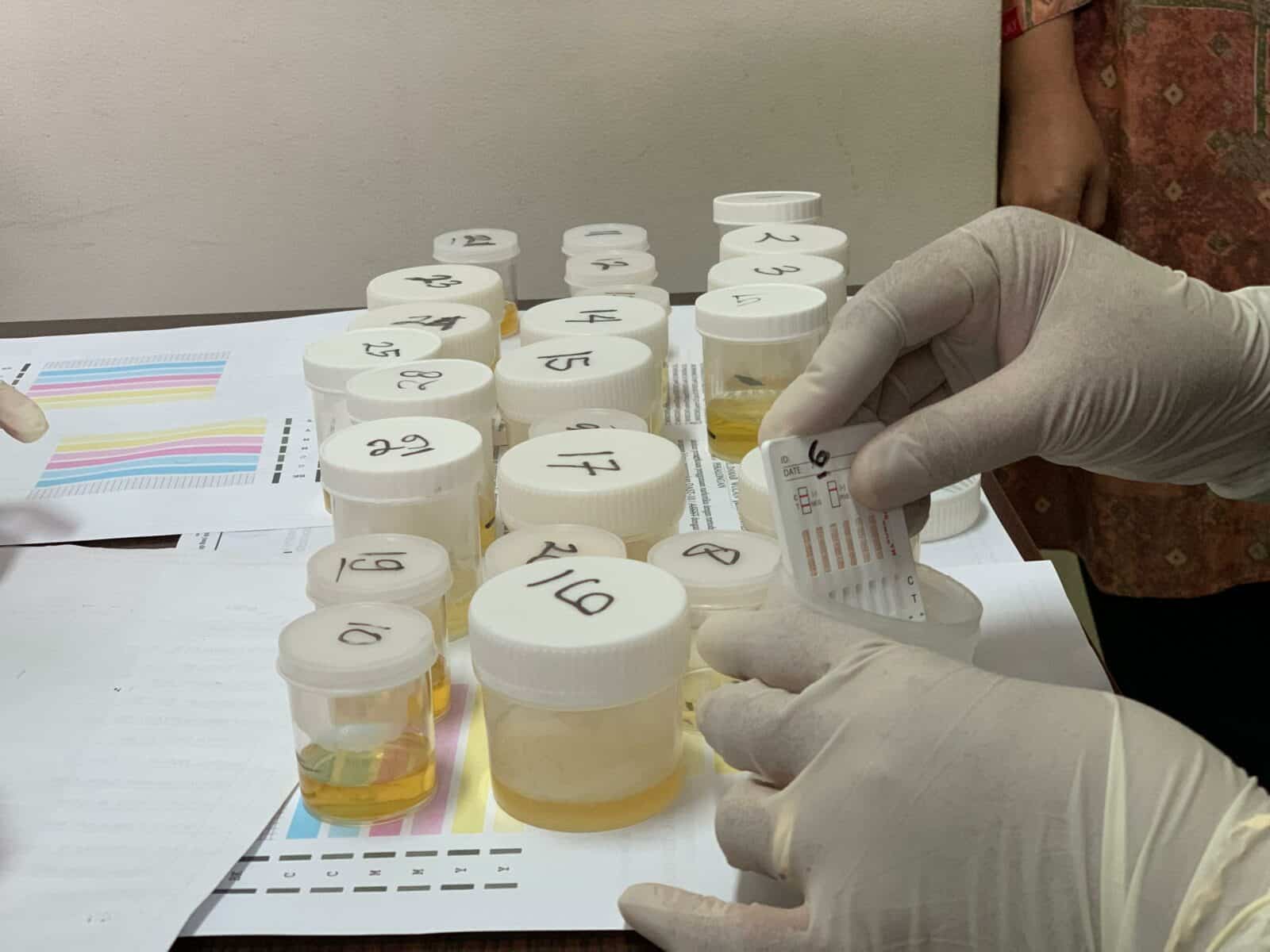 BNNK Batang Tes Urine Pegawai di Awal Tahun 2025 BNNK Batang Tes Urine Pegawai di Awal Tahun 2025